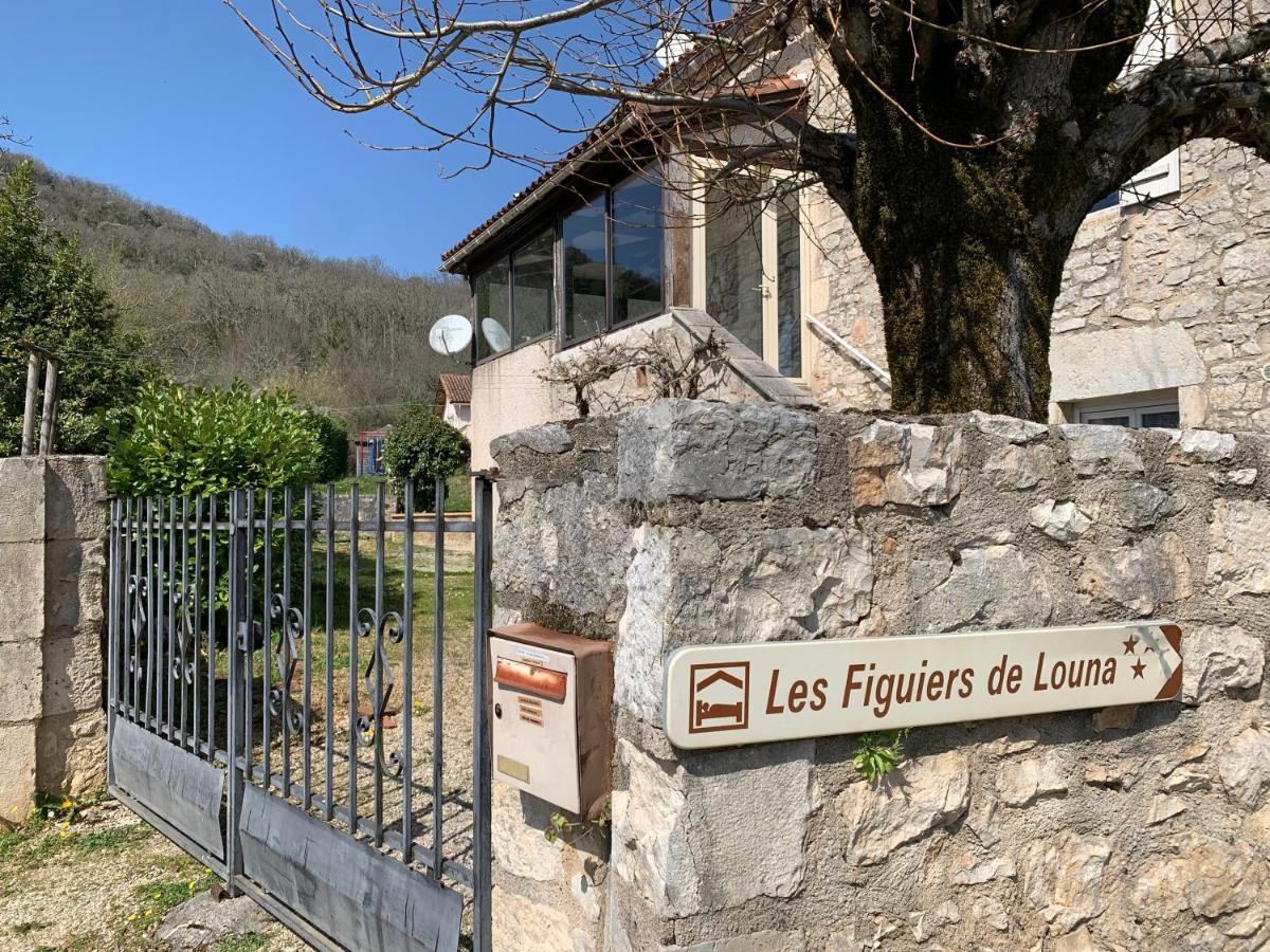 Saint-Géry Les Figuiers De Louna - Pierre Ensoleillee - 110 M2 Et Une Veranda מראה חיצוני תמונה